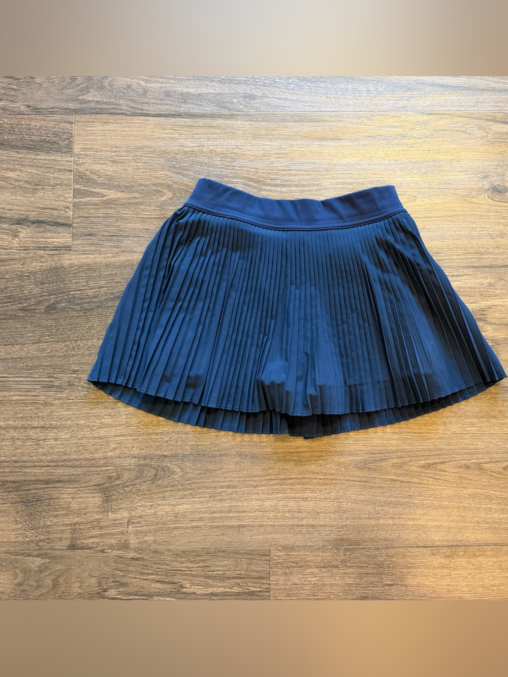Aritzia Pleated Navy Mini Skirt